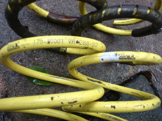 สปริงแต่ง apex ราคาถูก สปริงแต่ง apex ราคาถูก