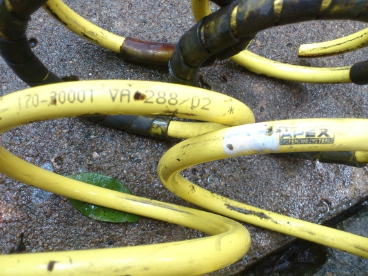 สปริงแต่ง apex ราคาถูก