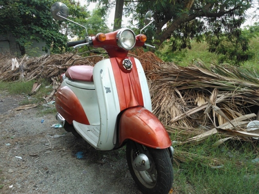 Suzuki Verde