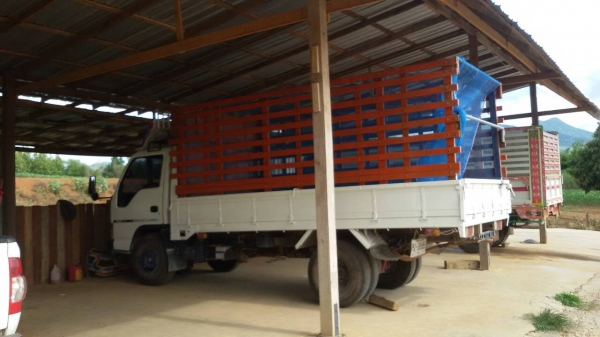 ขายรถบบรทุก 6ล้อ NPR  145  แรงม้า หัวการ์ตูน