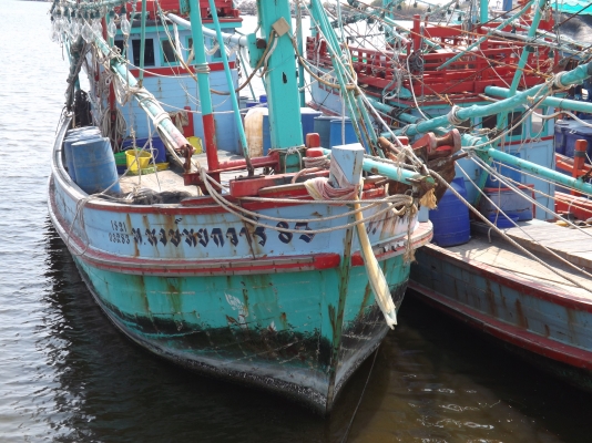 ขายเรือประมง ขนาด 9 วากว่า เป็นเรือไดร์หมึก อุปกรณ์ ครบ เรือไม้ตะเคียนทั้งลำ ขายเรือประมง ขนาด 9 วากว่า เป็นเรือไดร์หมึก อุปกรณ์ ครบ เรือไม้ตะเคียนทั้งลำ