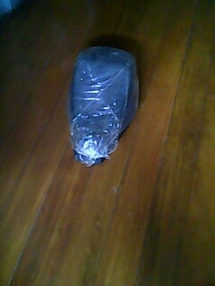 ขายเบาะ รถป๊อป Dio -Dio Zx ราคา 300 บาท ขายเบาะ รถป๊อป Dio -Dio Zx ราคา 300 บาท