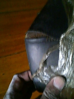 ขายเบาะ รถป๊อป Dio -Dio Zx ราคา 300 บาท ขายเบาะ รถป๊อป Dio -Dio Zx ราคา 300 บาท