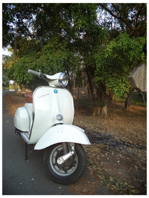 Vespa Sprint 150 ทะเบียนโอน สีใหม่มาก