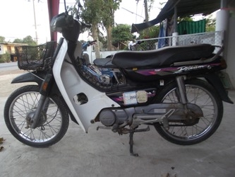 //// ขายดรีม100 ////