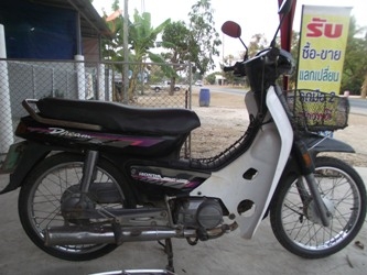 //// ขายดรีม100 ////