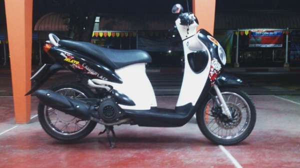 Jelato ปี 2011 ถูกๆ ต่อลองได้