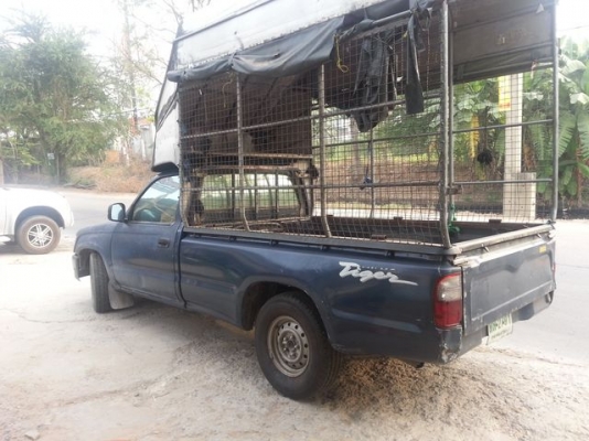 ขายรถไทเกอร์ตอนเดียวสภาพพร้อมใช้(ปี2000)(ไม่รับจองครับ)