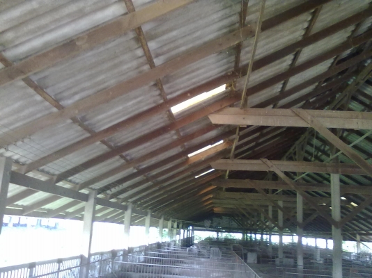 ขายโครงสร้างไม้เก่า ขนาดใหญ่ จำนวนมาก  ไม้เต็ง สภาพสวย ราคาถูก  ครับ  081-1755103