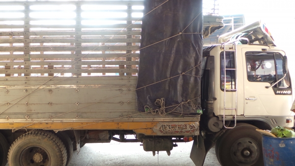 HINO FL17 หัวเปลี่ยน เครื่องเปลี่ยน ช่วงล่างสิงห์ไฮเทคค่ะ คุณว่าน จ.พิจิตร. มัดจำเรียบร้อยแล้วจ๊ะ HINO FL17 หัวเปลี่ยน เครื่องเปลี่ยน ช่วงล่างสิงห์ไฮเทคค่ะ คุณว่าน จ.พิจิตร. มัดจำเรียบร้อยแล้วจ๊ะ