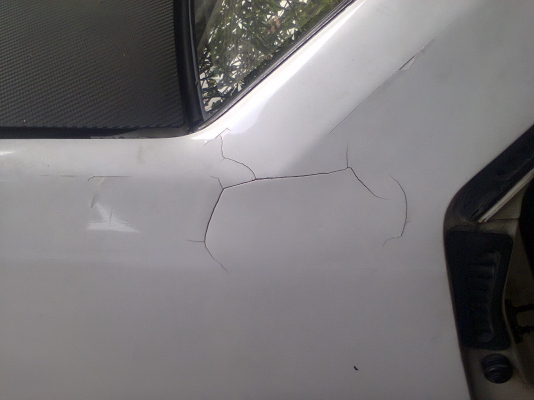 ขาย มิตซู แชมป์