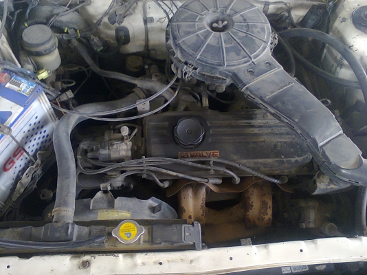 ขาย มิตซู แชมป์