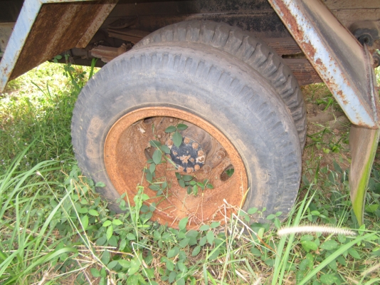 6ล้อดั้มหน้ายาว2คันเครื่อง125แรง1คัน145คัน-ขายรวม2คัน- 6ล้อดั้มหน้ายาว2คันเครื่อง125แรง1คัน145คัน-ขายรวม2คัน-