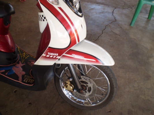 ขายฟีโน่ ไมล์แยก ปี54 ขาว-แดง-ดำ ขายฟีโน่ ไมล์แยก ปี54 ขาว-แดง-ดำ