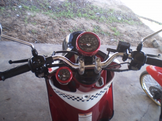 ขายฟีโน่ ไมล์แยก ปี54 ขาว-แดง-ดำ ขายฟีโน่ ไมล์แยก ปี54 ขาว-แดง-ดำ