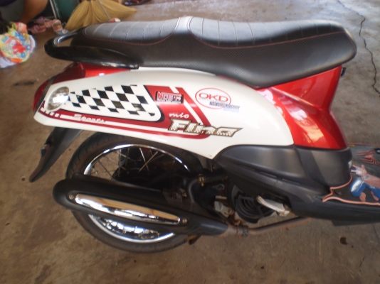 ขายฟีโน่ ไมล์แยก ปี54 ขาว-แดง-ดำ ขายฟีโน่ ไมล์แยก ปี54 ขาว-แดง-ดำ