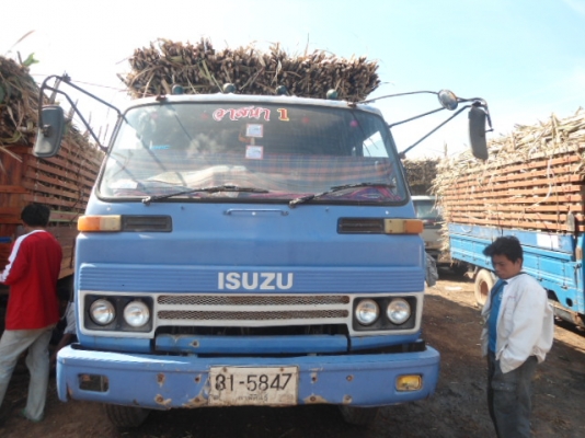 ขาย  อิชุชุ   JCM 145  แรง   รถสวยพร้อมใช้พร้อมลุยถูกๆ