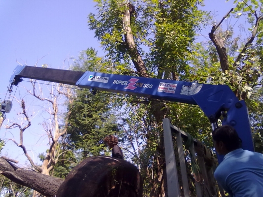 ขายเครน3ตัน ราคาถูก