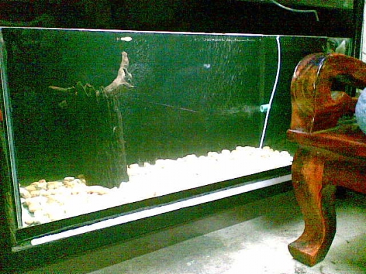 ตู้ปลา 48 นิ้ว