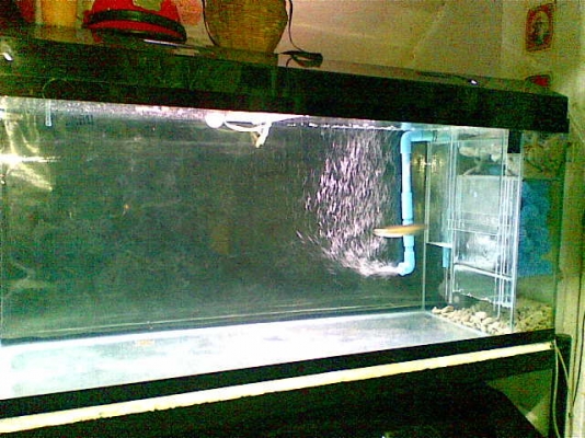 ตู้ปลา 48 นิ้ว