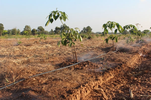 ปั้นน้ำแรงดันสูง 3''X3''