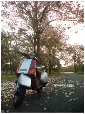 Vespa Cosa 150 ทะเบียนพร้อมโอน (ชื่อผมเอง)