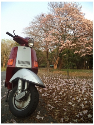 Vespa Cosa 150 ทะเบียนพร้อมโอน (ชื่อผมเอง)