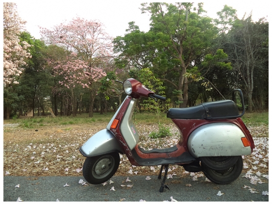 Vespa Cosa 150 ทะเบียนพร้อมโอน (ชื่อผมเอง)