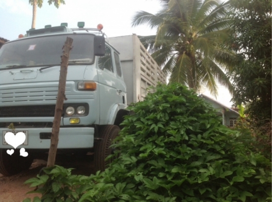 UD CW41 260 เทอร์โบ ดั้ม