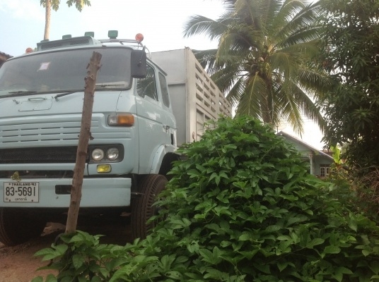 UD CW41 260 เทอร์โบ ดั้ม