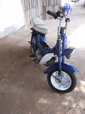 ขายชาลีคับ