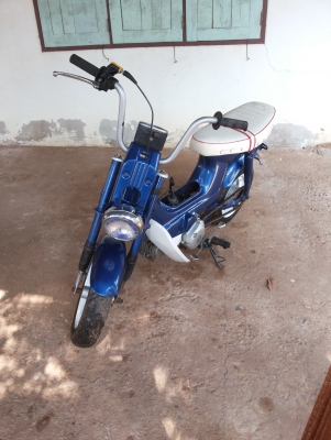 ขายชาลีคับ