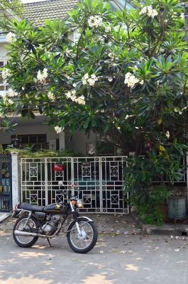 JX 110 เดิม สวย ทะเีบียนแท้ ภาษีเต็ม พร้อมโอน