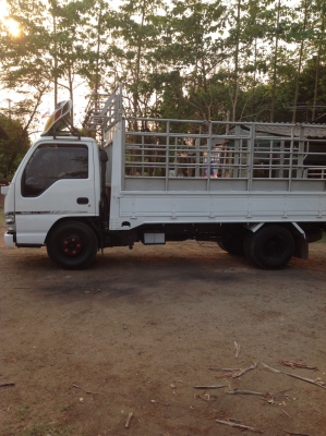 ขายnkr130 turbo ปี50รถห้าง