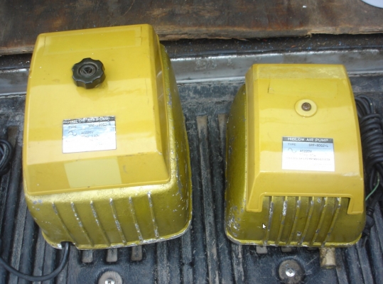 ขายเครื่องเติมอากาศ (Air Pump) HIBLOW HP-120GJ-H