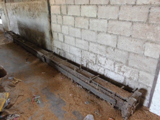 จองแล้วครับ  จากเสี่ย รังสิด