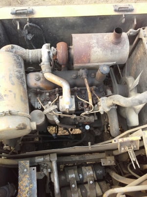 ขายแมคโคโคมัสสุ120-2 ขายแมคโคโคมัสสุ120-2