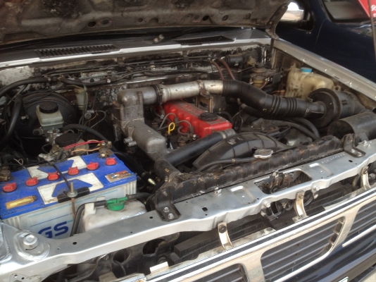 ต้องการขาย BIG M หัวเดียว พ.เพาว์เวอร์ ปี 96