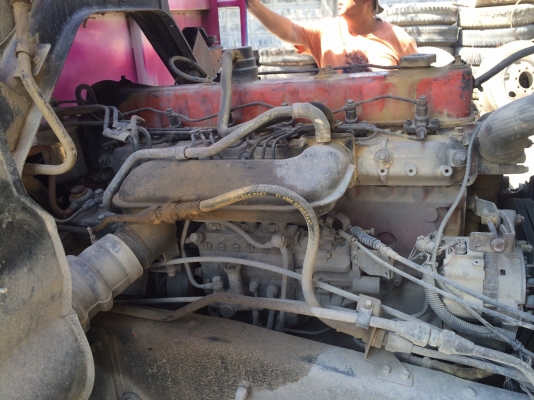 ขายร็อค 240 แม่ ลูก