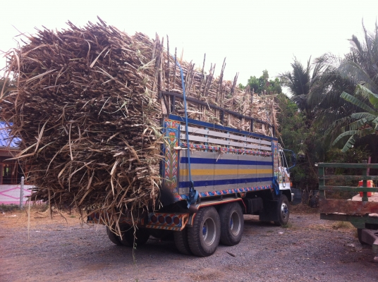 ขายสิบล้อ  ISUZU  ล๊อกเล็ก