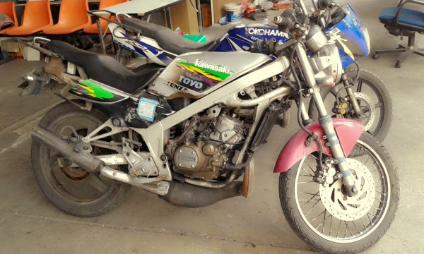 ขายยกฝูง ขายยกฝูง