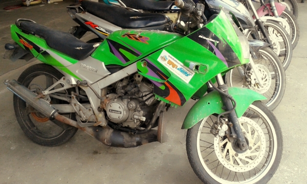 ขายยกฝูง ขายยกฝูง