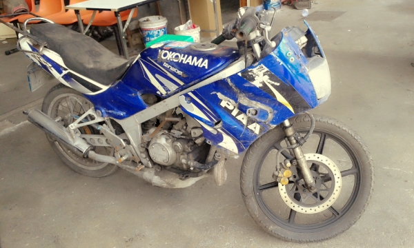 ขายยกฝูง ขายยกฝูง