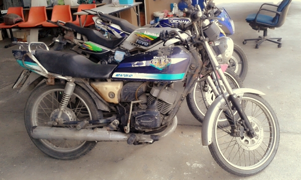 ขายยกฝูง ขายยกฝูง