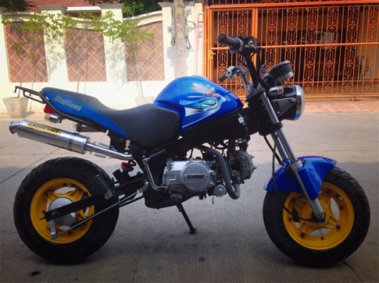 stallion Solo 125 mini ปี 2555 สีน้ำเงิน ท่อ Endurance