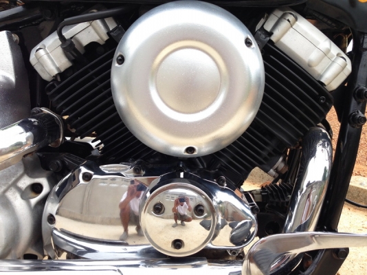 ขาย Yamaha Dragstar 400 เอกสาร อินวอย สรรพสามิตแท้