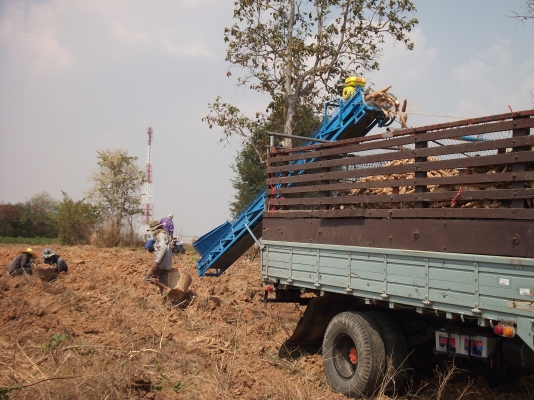 ขายเครื่องขึ้นมัน