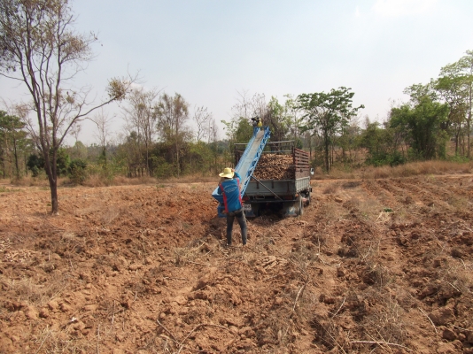 ขายเครื่องขึ้นมัน