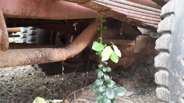 หกล้อ เบ้นซ์ เครื่องดีเซล ๖ สูบ รถมีทะเบียน ชอบราคาเท่าไร ต่อรองกันได้ครับ