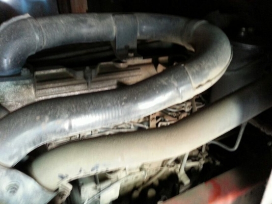 รถอีซูซุ 6 ล้อ ( รถบัส )  260 แรงม้า. ปี 52    สนใจติดต่อ 081 - 6079515